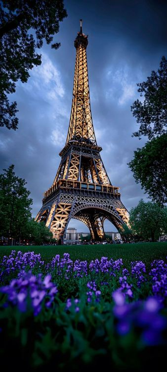 paris et la tour Eiffel