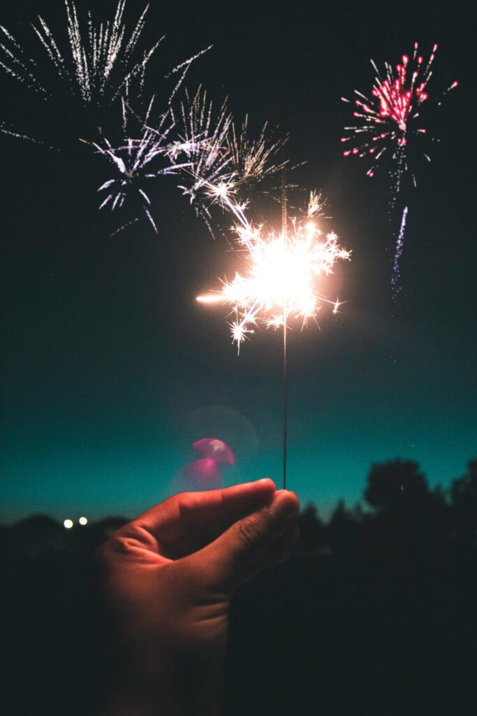 Bonne année 