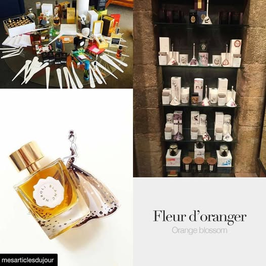 Au pays de la fleur d'oranger