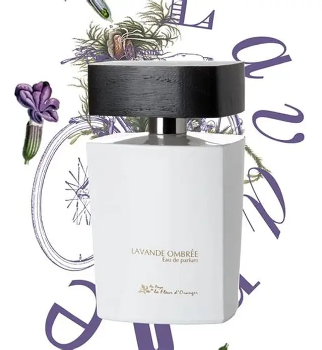 parfum Lavande ambrée par Virginie Roux au pays de la fleur d'oranger