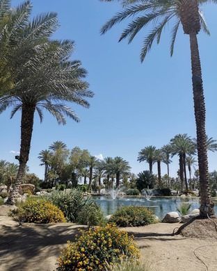 Vue du jardin et de son lac - The Shields Date Garden