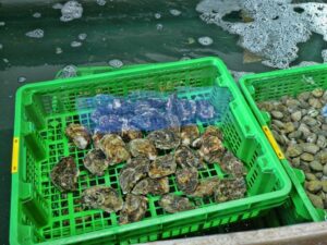La passion du fruit de mer Les perles de Monte-Carlo