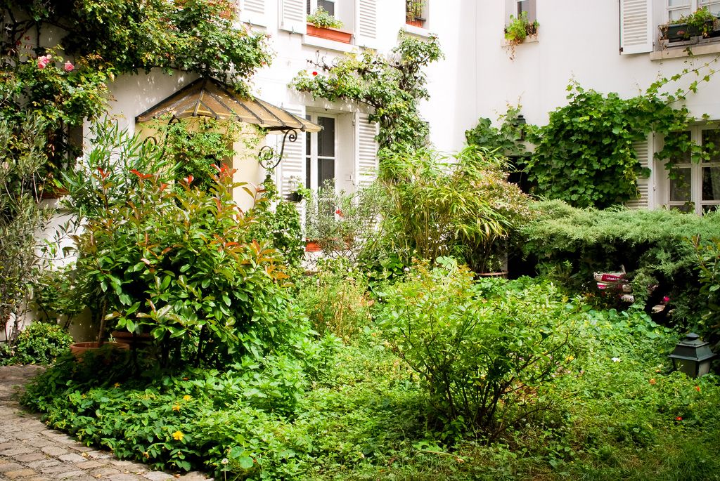 Charonne et ses cours fleuries