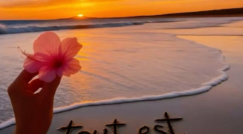 Mes condoléances-tout est éphémère