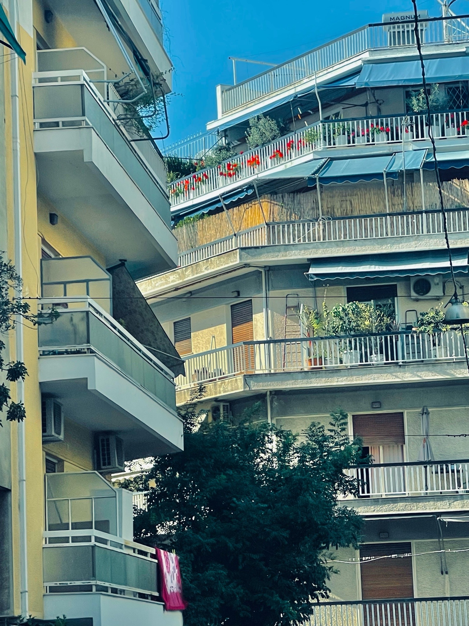 Athènes, Pangrati