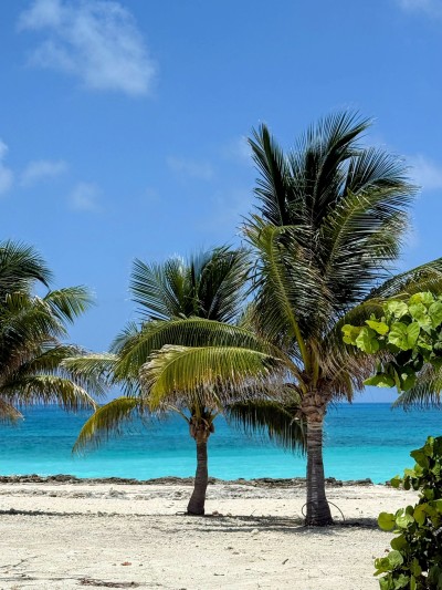 Louis Town, Bimini, Bahamas