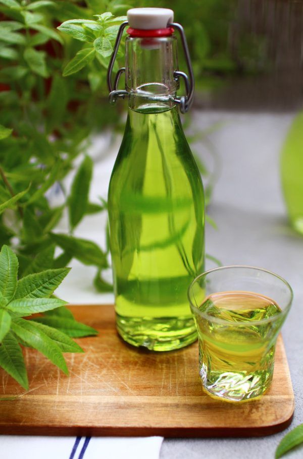 faire sa liqueur de verveine maison