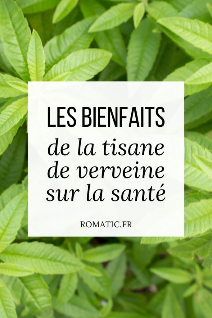 les bienfaits de la verveine sur la sante copyright romatic.fr