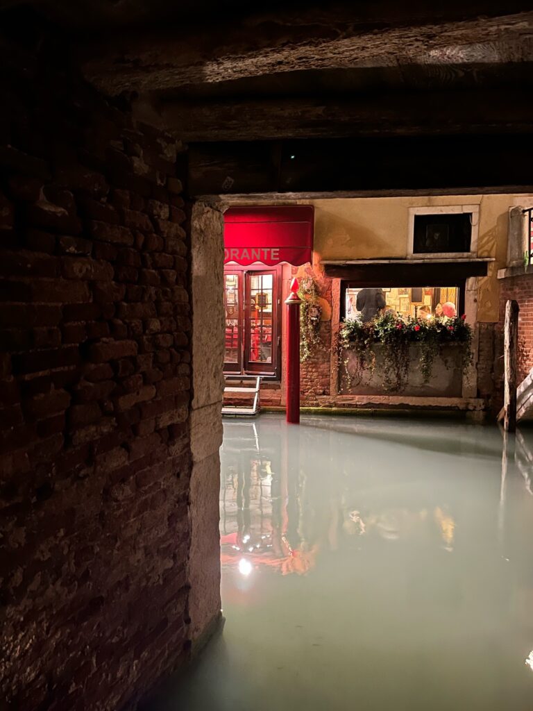 Venise sous les eaux. Acqua Alta