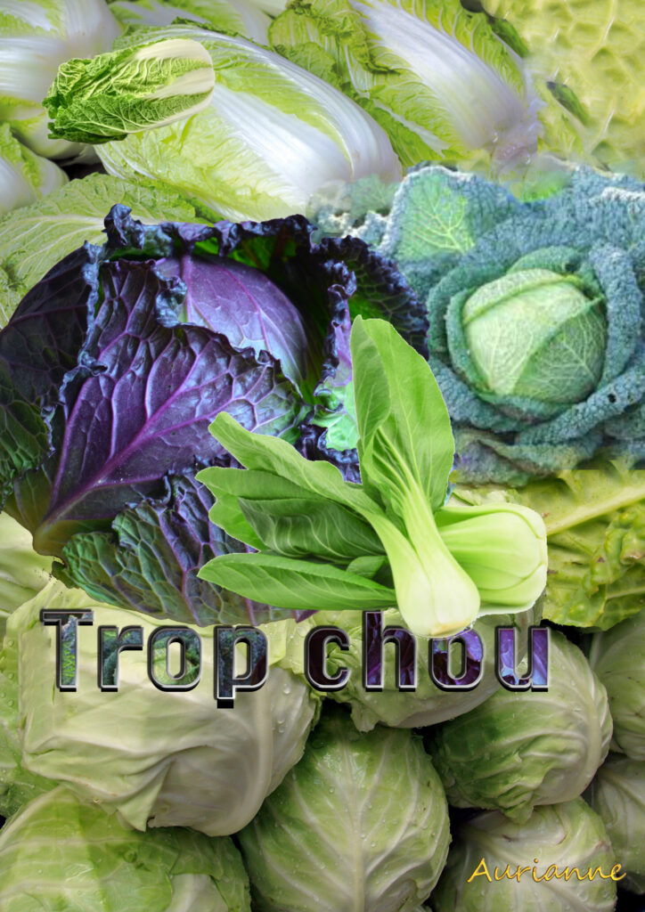 Régime Soupe aux Choux Optimisez Votre Perte trop chou by Aurianne