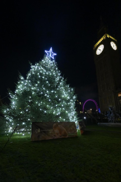 Un sapin de Kielder de 40 pieds illuminé à Londres pour la tradition de Noël