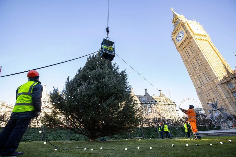 Un sapin de Kielder de 40 pieds illuminé à Londres pour la tradition de Noël