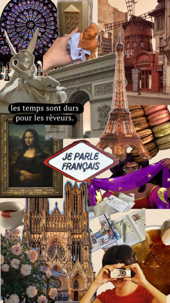 Oh chère France que les temps sont durs pour les rêveurs!