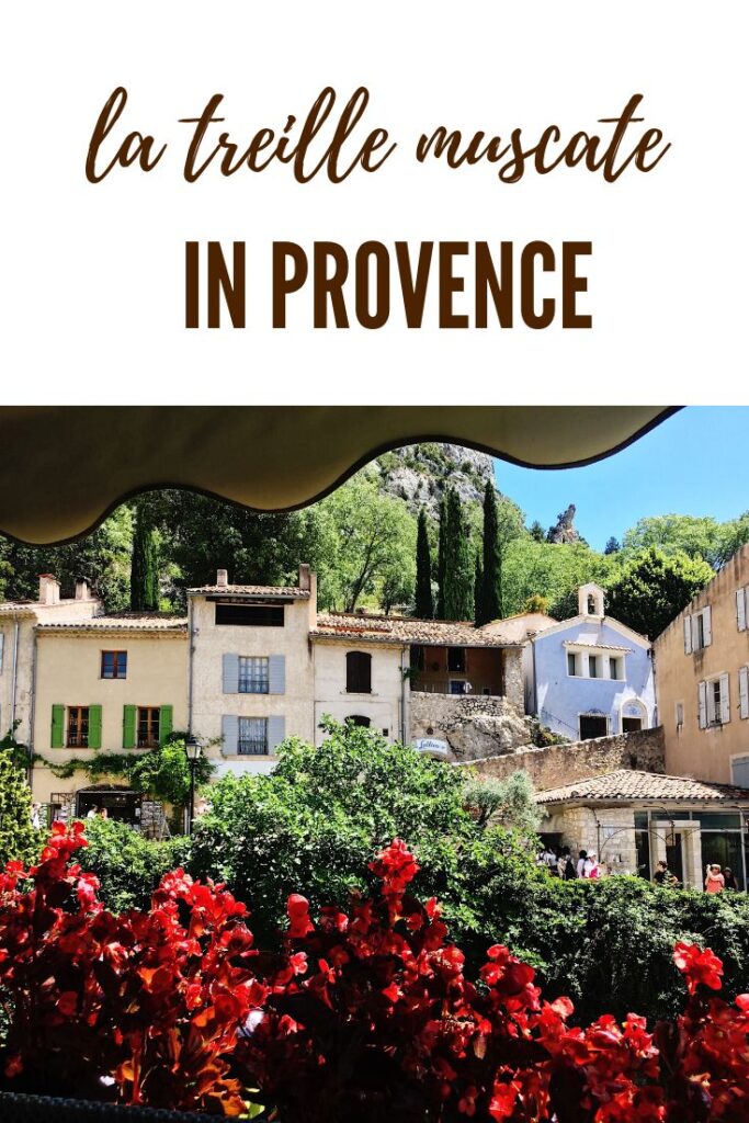 La Treille Muscate la maison de Colette en Provence