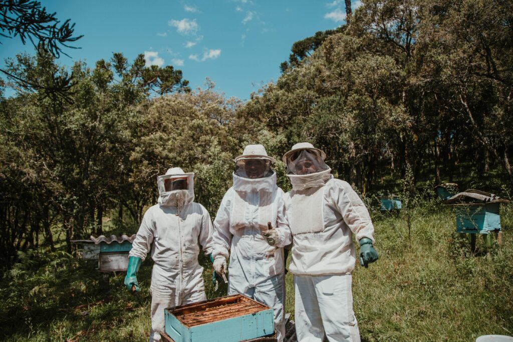 Sauver les abeilles, adoptez une ruche