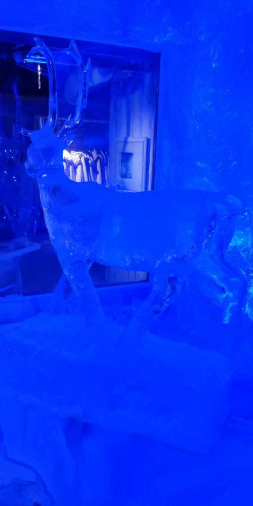 Finlande Rovaniemi- Galerie des glaces et des sculptures