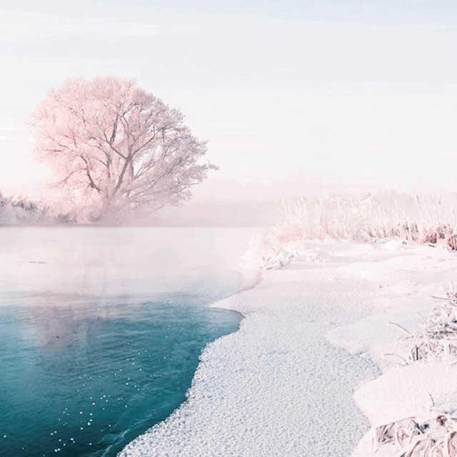 Hiver une saison qui peut être pleine de douceur