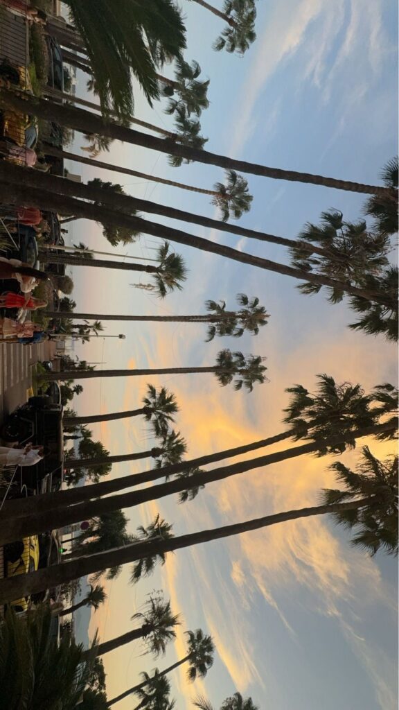 cannes