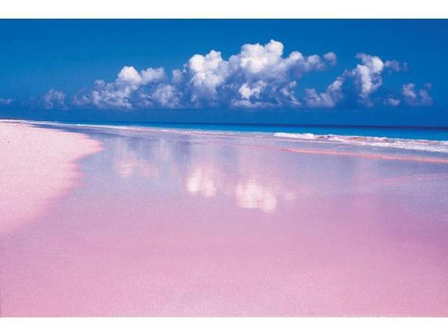 lac rose harbour island bahamas