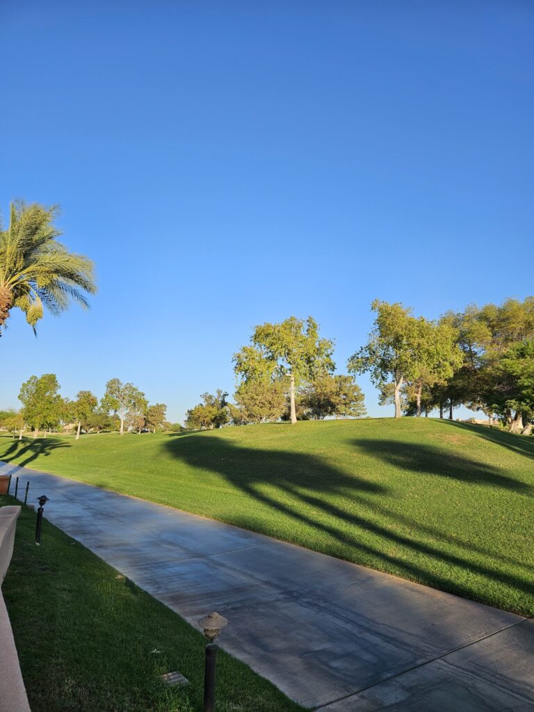 Palm Spring golf green lush