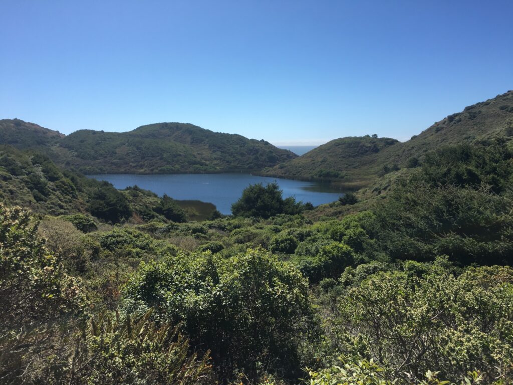 Point Reyes paysage par Gravewax