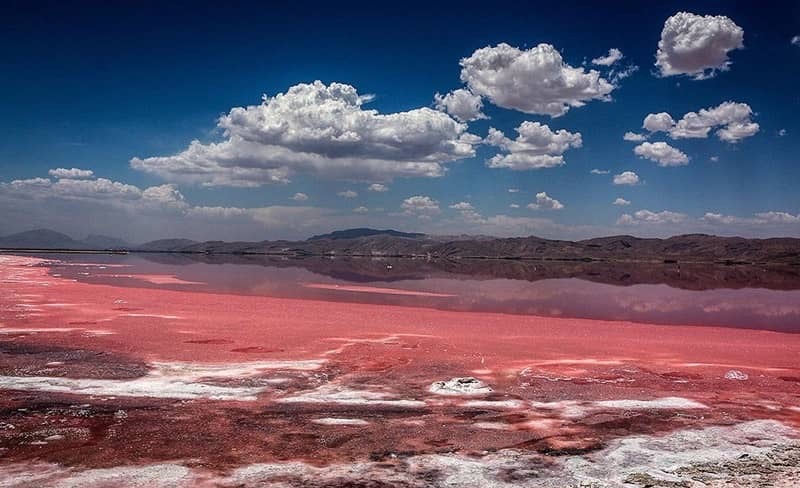 lac rose maharloo