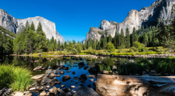 Parc naturel californie sous le soleil