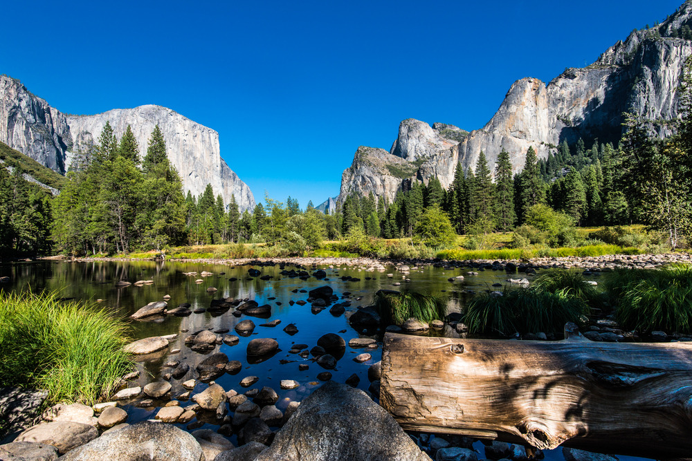 Parc naturel californie sous le soleil
