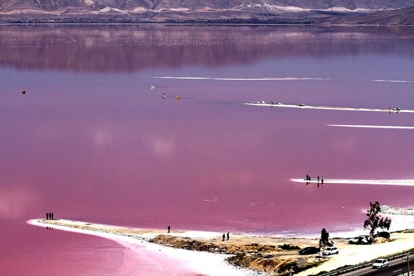 lac rose maharloo