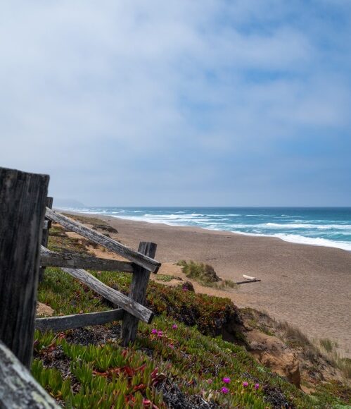 Plage sur Point Reyes