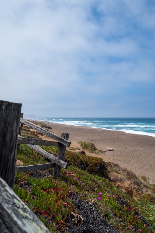 Plage sur Point Reyes