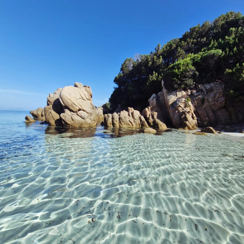 Plage d'argent Véro Réveillard