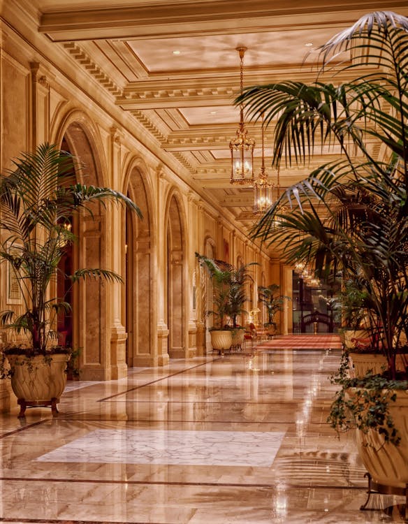 Hôtel de luxe
