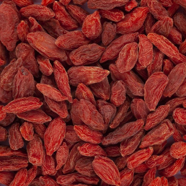 Baies de goji- day by day
