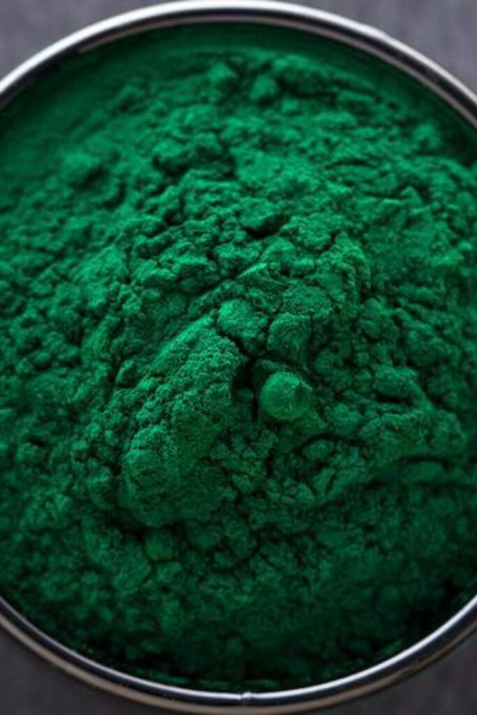 Spiruline une algue de fer