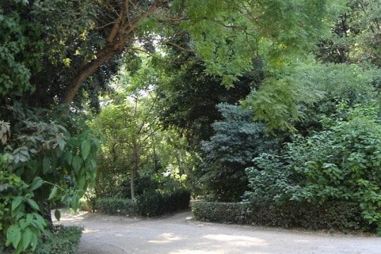Hellas vue des jardins botaniques d'Athènes  et ses allées paisibles.