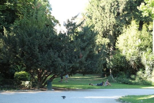 Hellas vue des jardins botaniques d'Athènes et le parc.