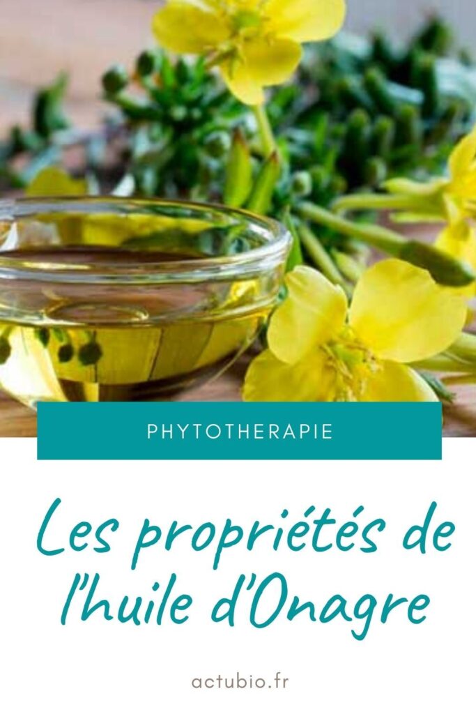 huile d'onagre- huile indispensable de votre hiver.