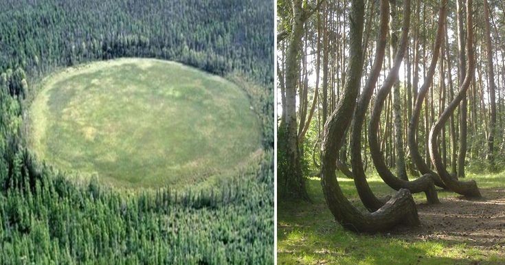Les endroits les plus étranges au monde : La forêt de Hoia Baciu