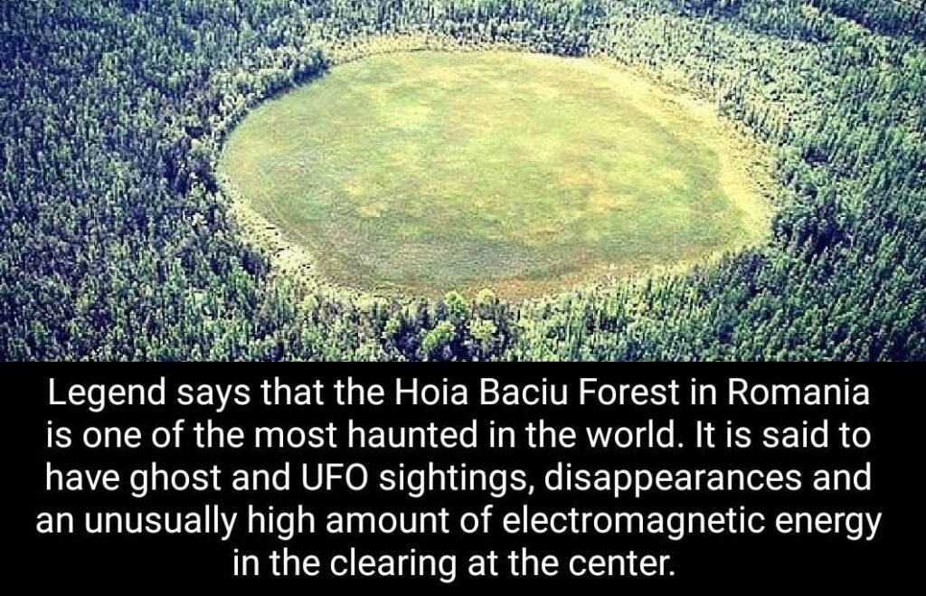 forêt de Hoia Baciu surnommée le triangle des Bermudes de la Roumanie. Un endroit très étrange