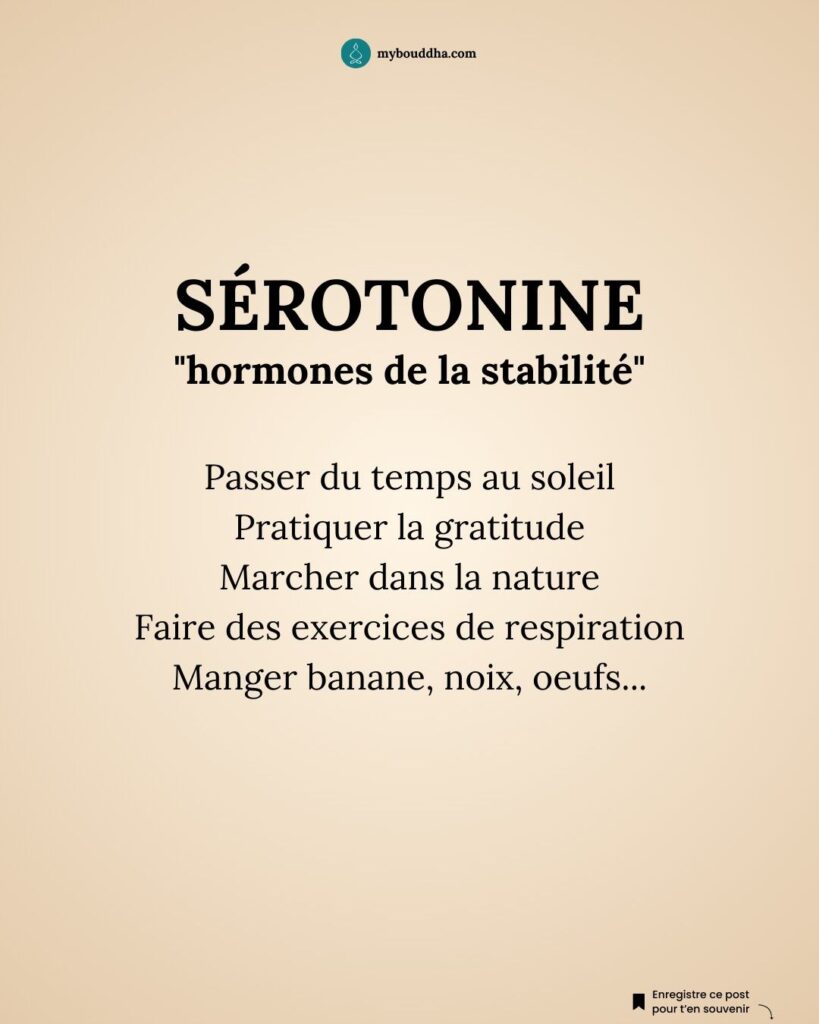 Sérotonine, l'hormone de la stabilité.