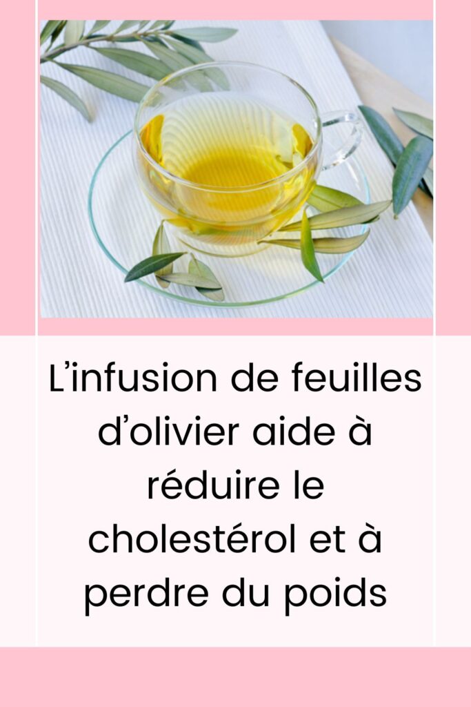 Les bienfaits thérapeutiques de la feuille d'olivier 