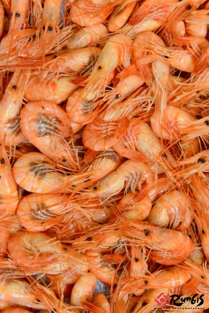 Rungis et sa section de fruits de mer et de poissons.