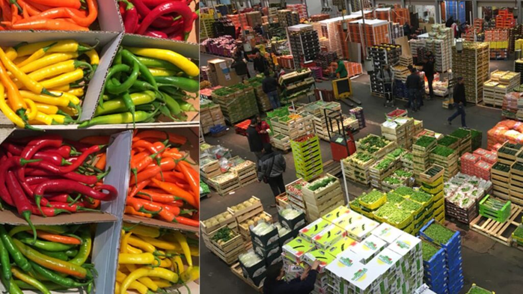 Rungis J Jacques H. ROYER