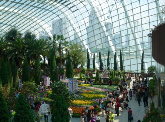Gardens by the bay.      Super tree Grove Flower Dome. Singapour