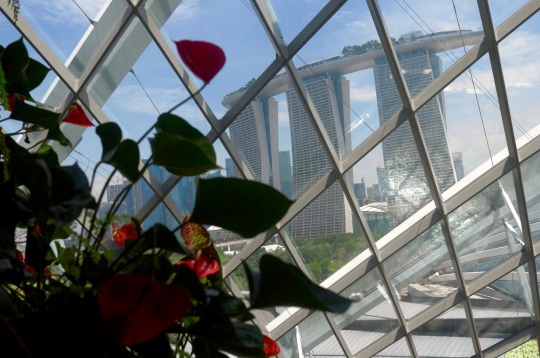 Singapour la ville du lion