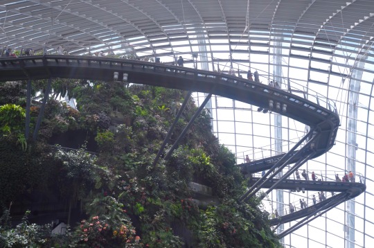 Garden By The Bay. This paradise of lush greenery, which spans three unique areas over 101 hectares (Bay South Garden, Bay East Garden, and Bay Central Garden), has received numerous honours since it originally opened in 2012.