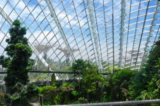 Gardens by the Bay is a haven for both aspiring horticulturists and nature lovers