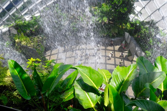 Singapour- Gardens by the Bay