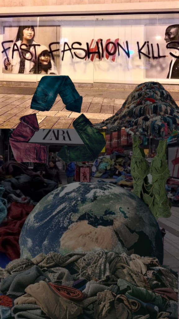 FAST FASHION quand les vetements empoisonnent par Lena Dsss